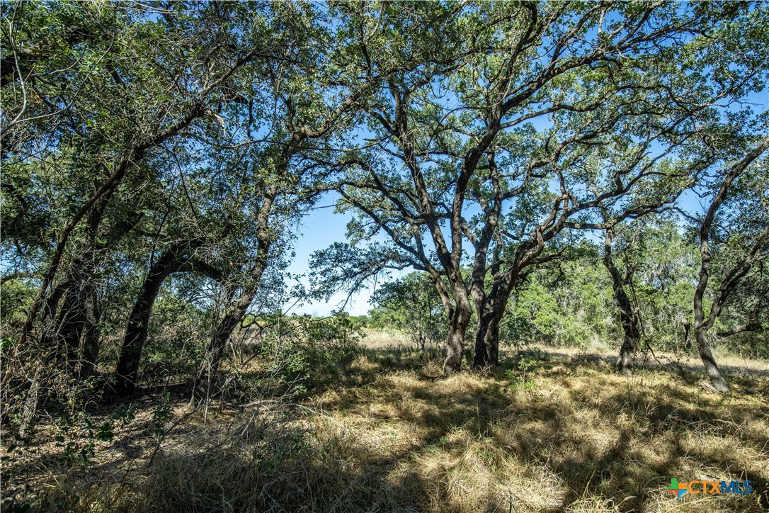 21123 Lamm Road | 73.68± Acres | Bexar County