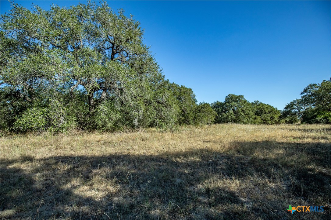 21123 Lamm Road | 73.68± Acres | Bexar County