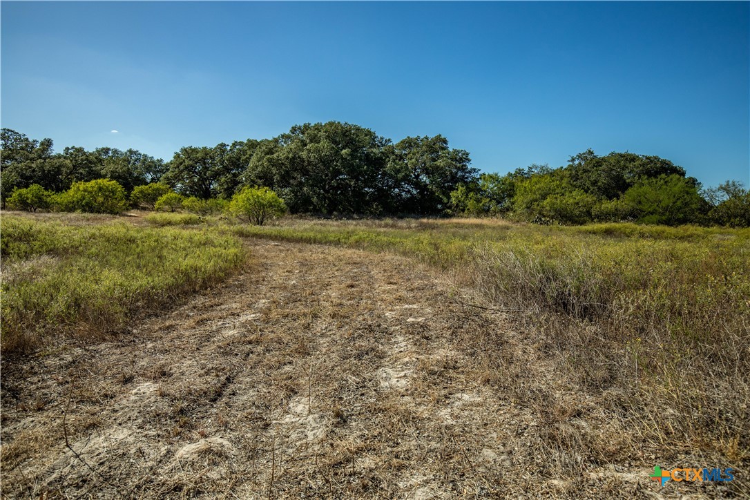 21123 Lamm Road | 73.68± Acres | Bexar County