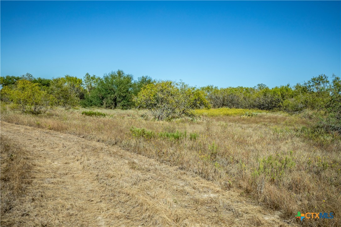 21123 Lamm Road | 73.68± Acres | Bexar County