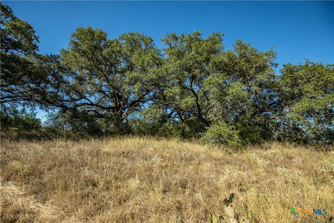 21123 Lamm Road | 73.68± Acres | Bexar County
