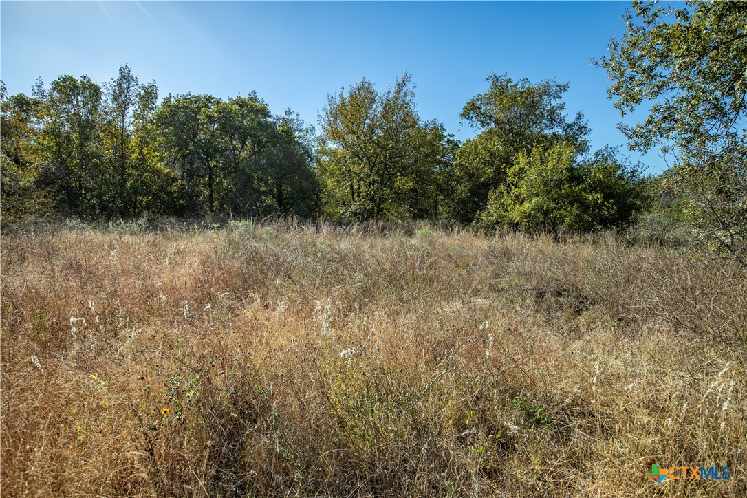 21123 Lamm Road | 73.68± Acres | Bexar County