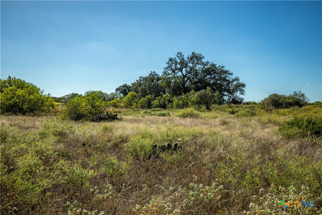 21123 Lamm Road | 73.68± Acres | Bexar County