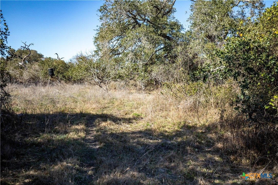 6498 Hwy 35 N