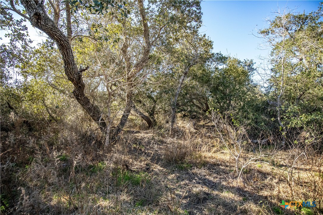 6498 Hwy 35 N
