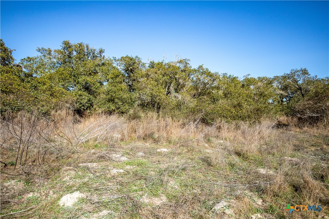 6498 Hwy 35 N