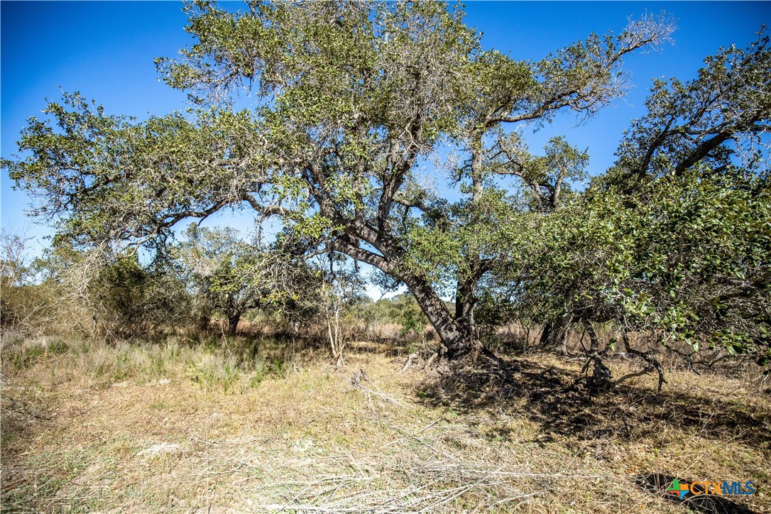 6498 Hwy 35 N