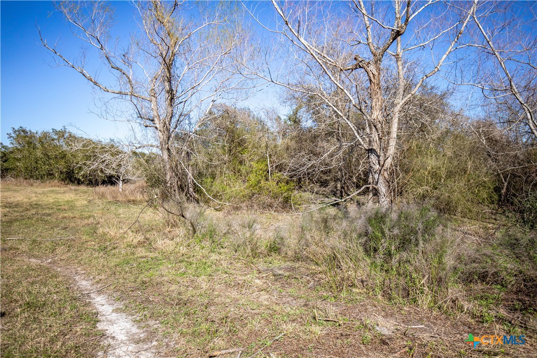 6498 Hwy 35 N