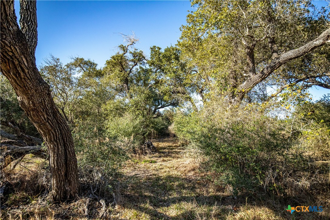 6498 Hwy 35 N