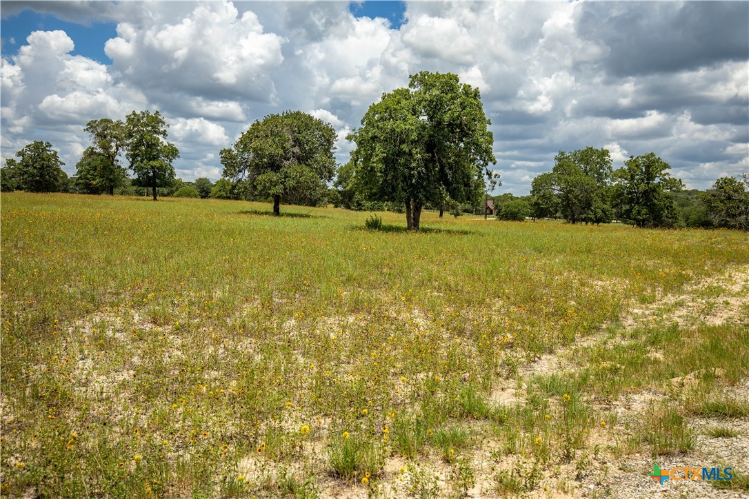 The Settlement at Patriot Ranch | 5.02 Acre Cornerstone Lot | Luling, TX