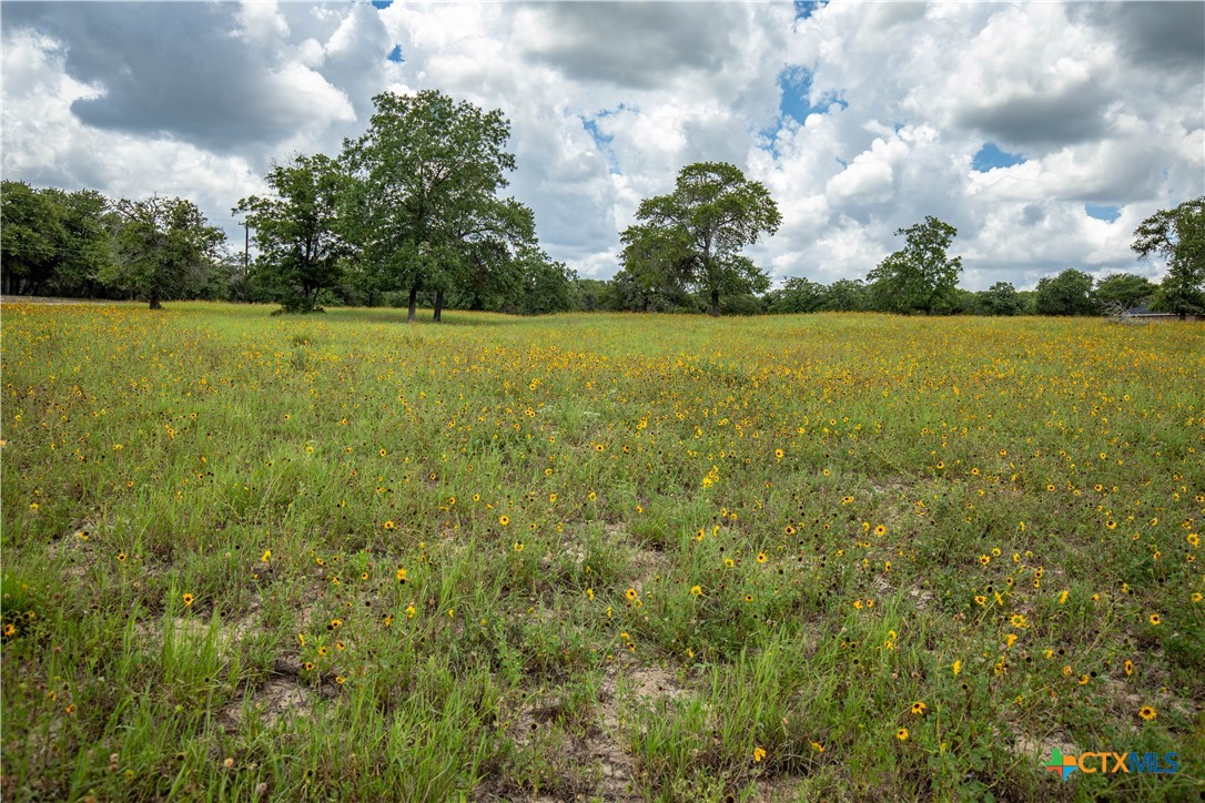 The Settlement at Patriot Ranch | 5.02 Acre Cornerstone Lot | Luling, TX