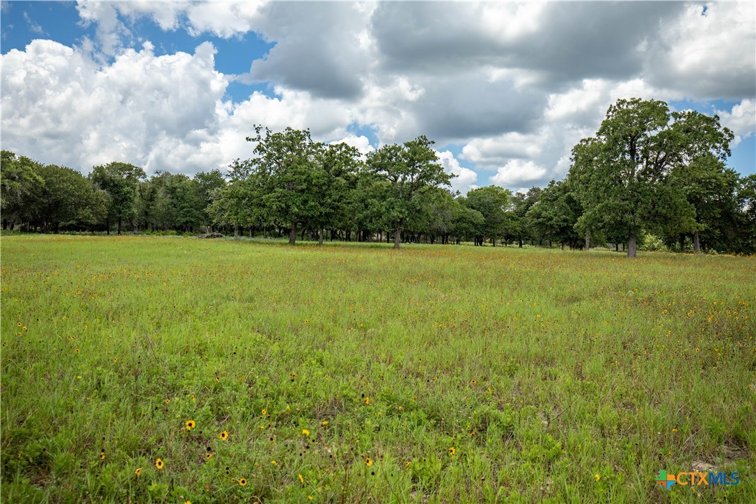 The Settlement at Patriot Ranch | 5.02 Acre Cornerstone Lot | Luling, TX