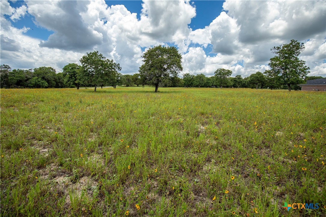 The Settlement at Patriot Ranch | 5.02 Acre Cornerstone Lot | Luling, TX