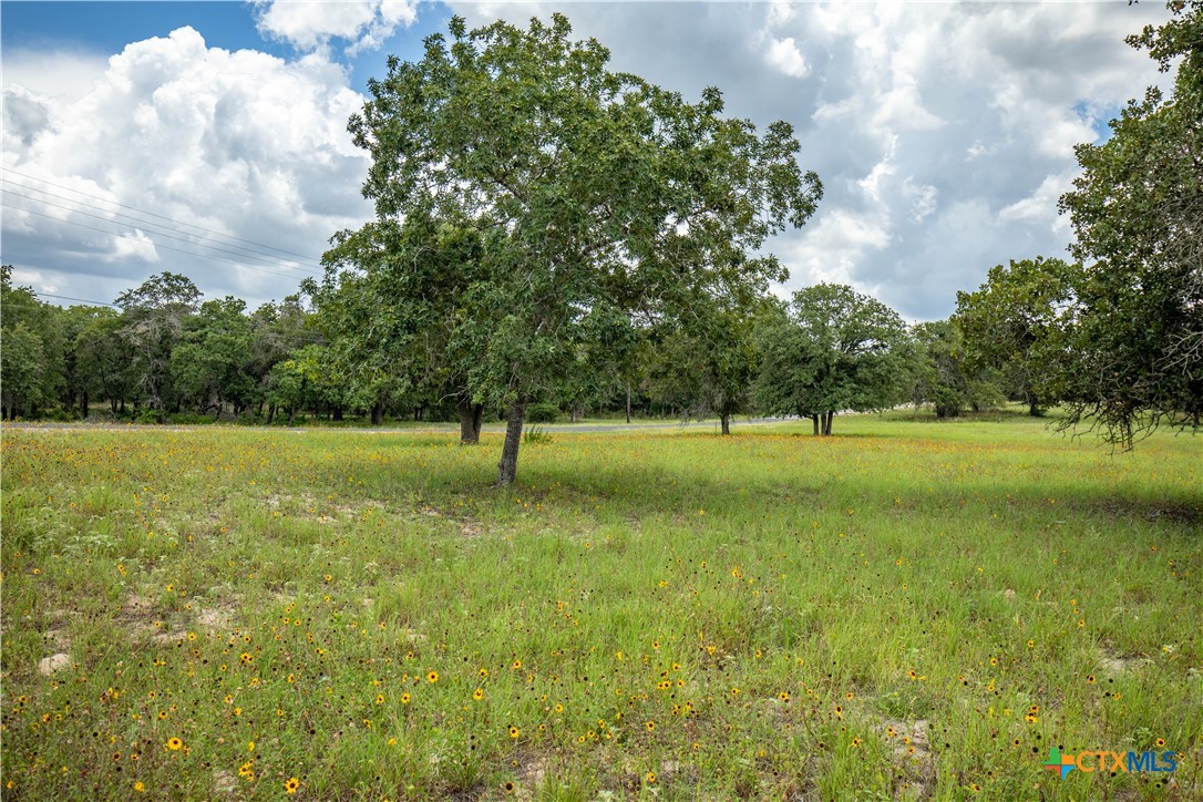 The Settlement at Patriot Ranch | 5.02 Acre Cornerstone Lot | Luling, TX