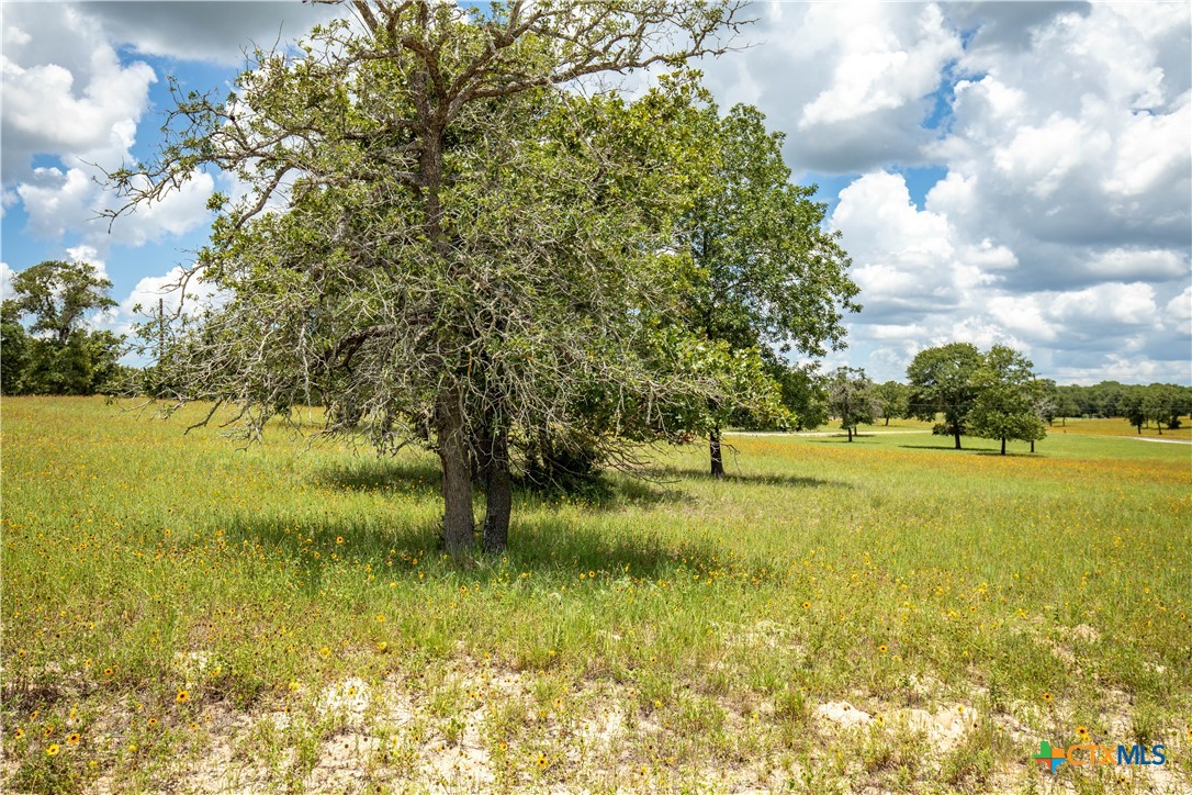 The Settlement at Patriot Ranch | 5.02 Acre Cornerstone Lot | Luling, TX