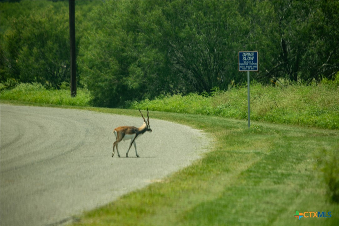 The Settlement at Patriot Ranch | 5.02 Acre Cornerstone Lot | Luling, TX