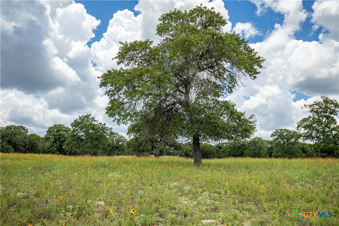 The Settlement at Patriot Ranch | 5.02 Acre Cornerstone Lot | Luling, TX