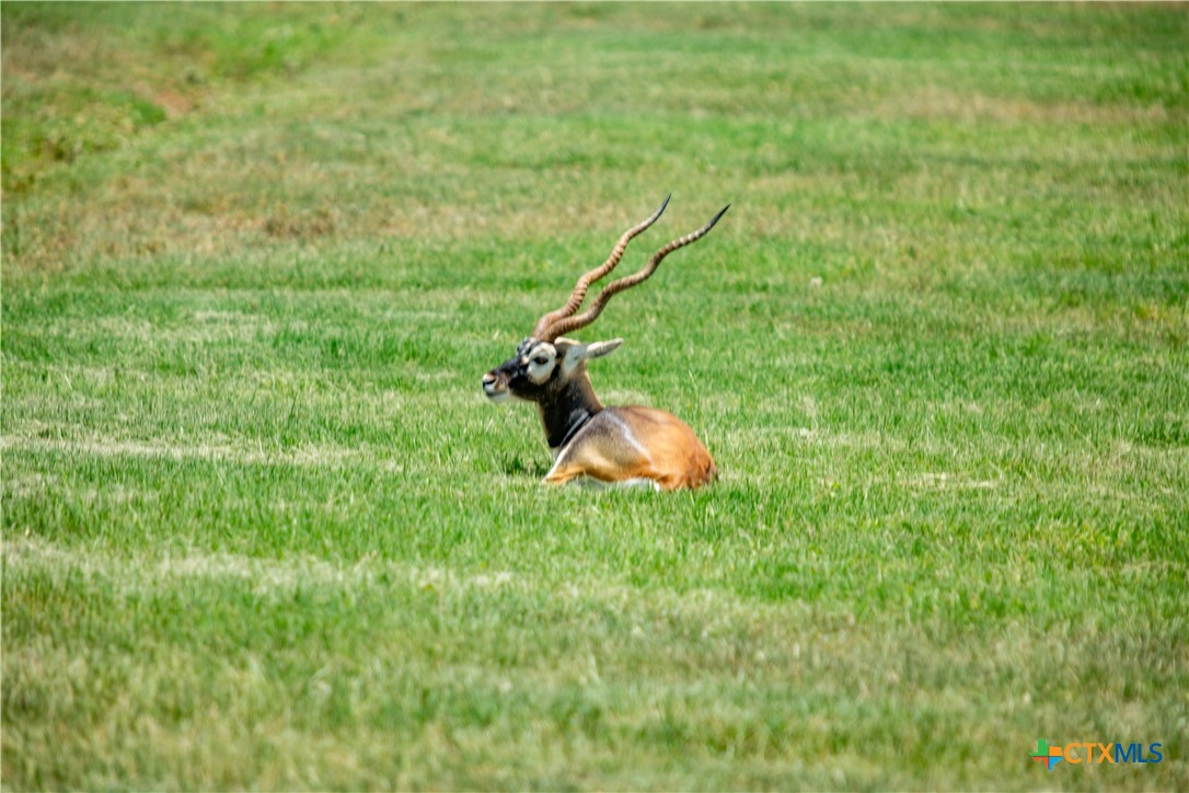 The Settlement at Patriot Ranch | 5.02 Acre Cornerstone Lot | Luling, TX