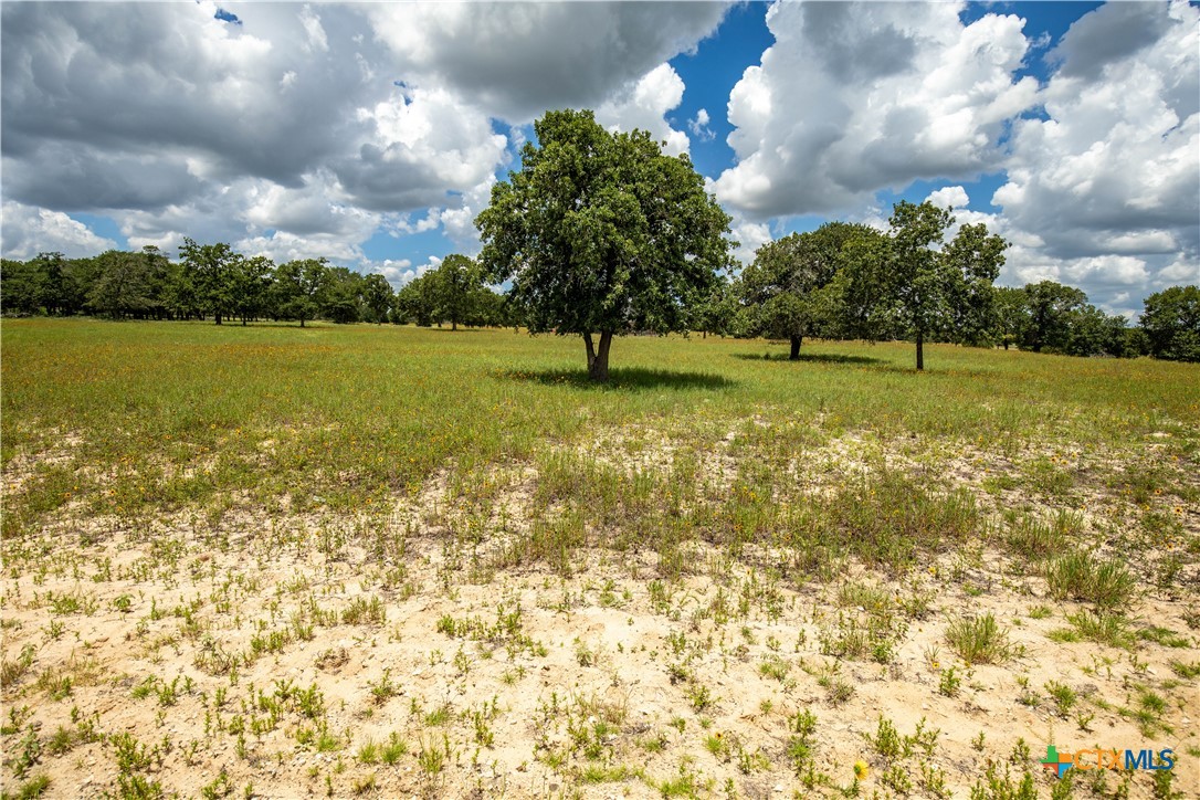 The Settlement at Patriot Ranch | 5.02 Acre Cornerstone Lot | Luling, TX