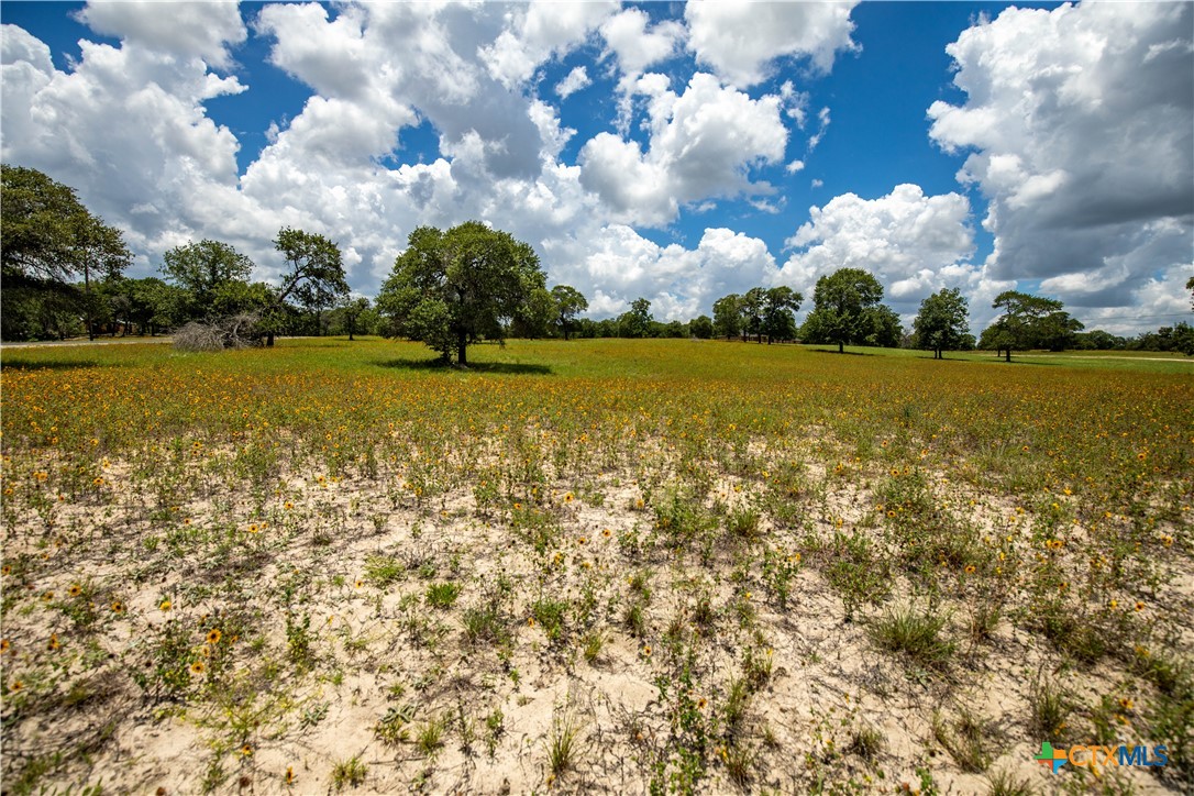 The Settlement at Patriot Ranch | 5.02 Acre Cornerstone Lot | Luling, TX