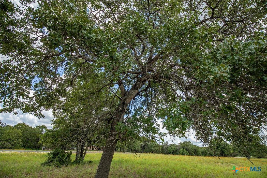 The Settlement at Patriot Ranch | 5.02 Acre Cornerstone Lot | Luling, TX