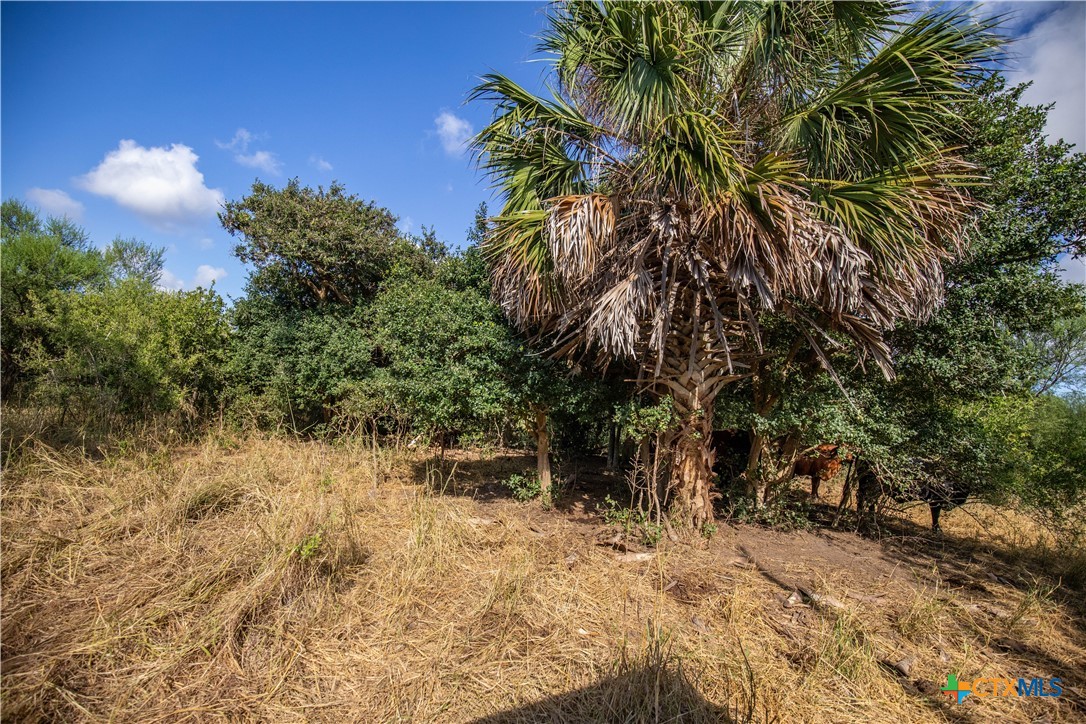 Rancho Refugio | 161± Acres | Refugio County