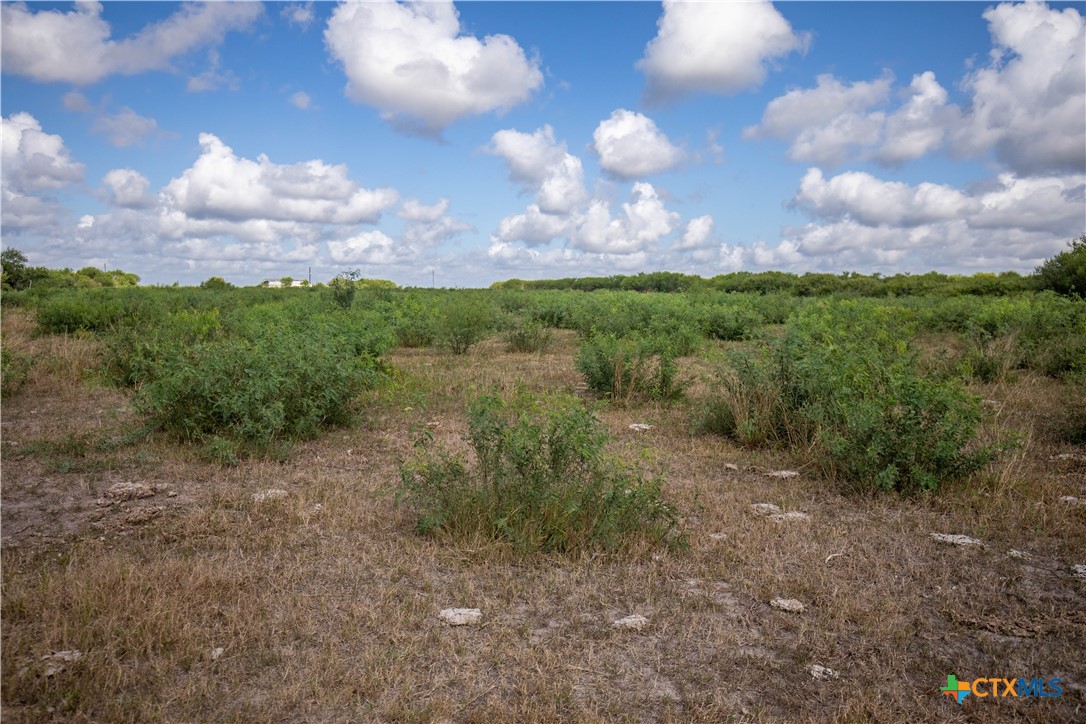 Rancho Refugio | 161± Acres | Refugio County