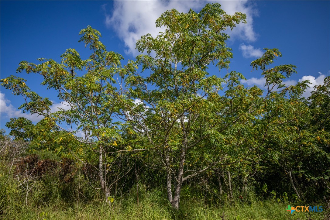 Rancho Refugio | 161± Acres | Refugio County