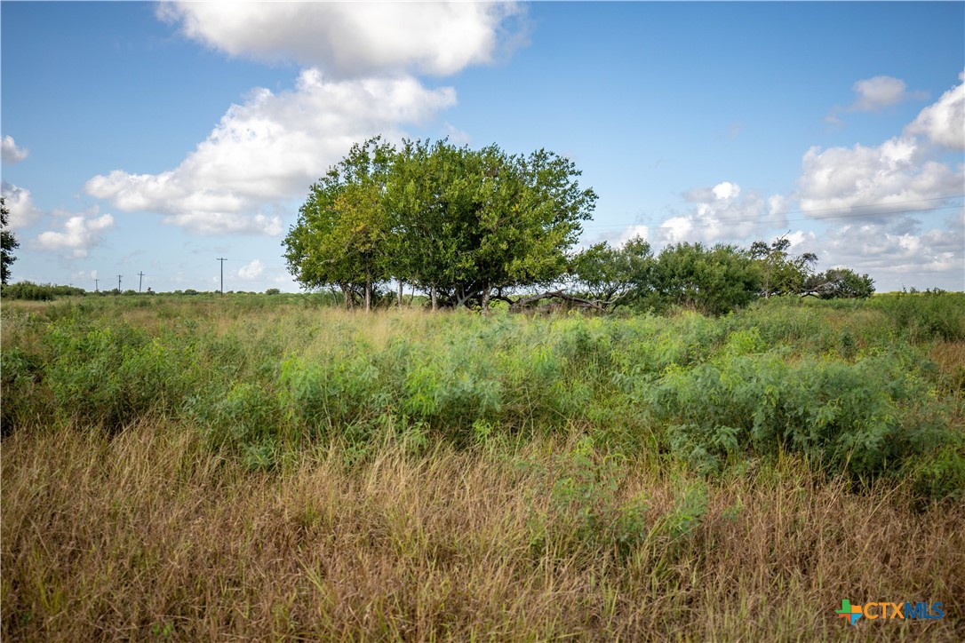 Rancho Refugio | 161± Acres | Refugio County