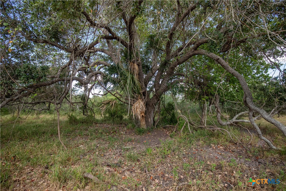 Rancho Refugio | 161± Acres | Refugio County