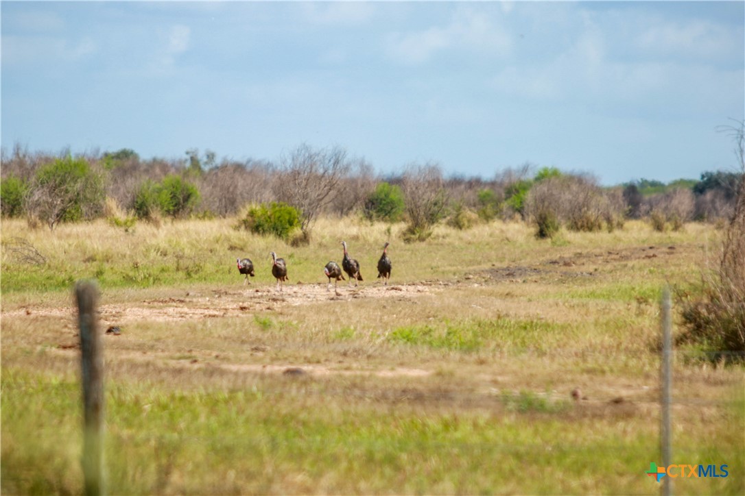 Rancho Refugio | 161± Acres | Refugio County