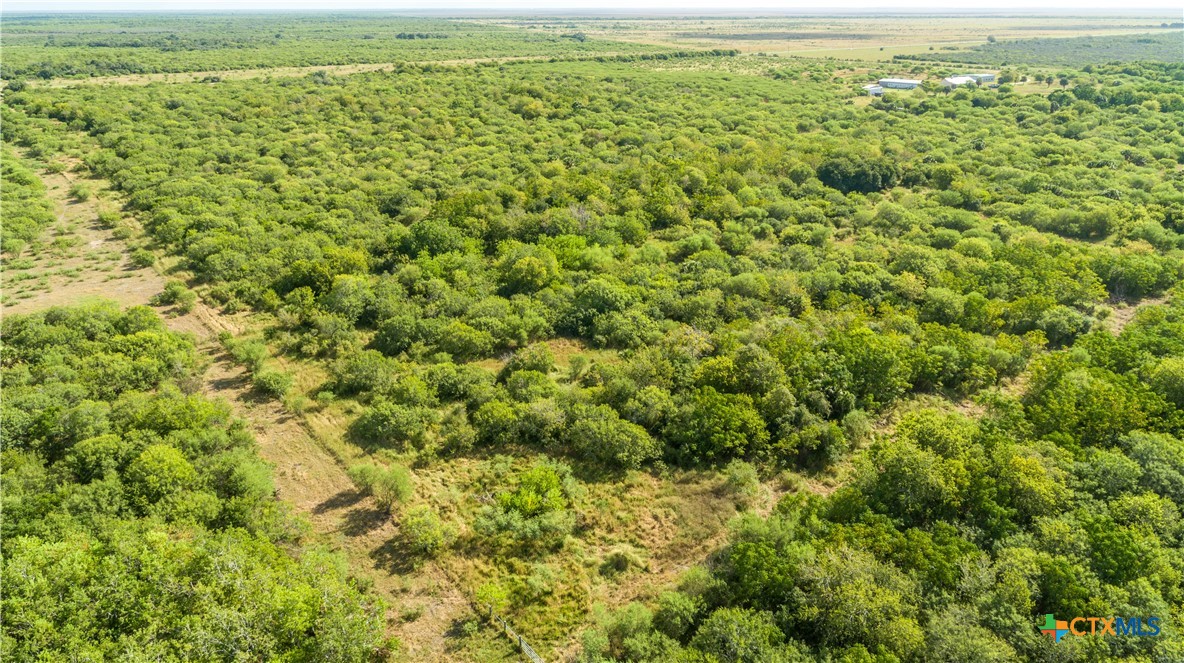 Rancho Refugio | 161± Acres | Refugio County
