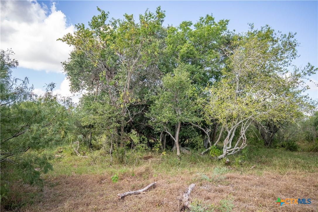 Rancho Refugio | 161± Acres | Refugio County