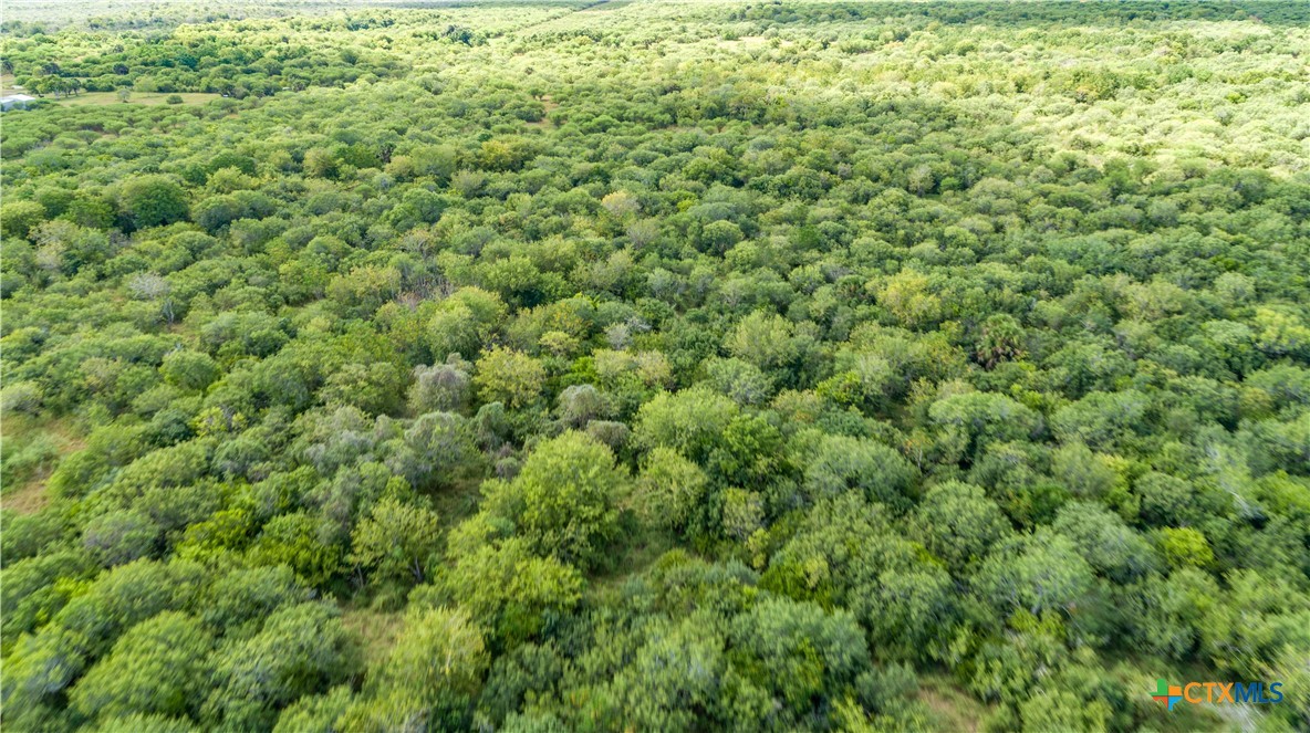 Rancho Refugio | 161± Acres | Refugio County