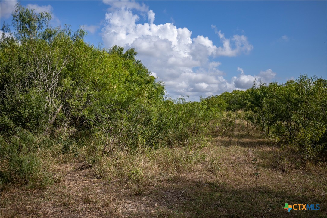 Rancho Refugio | 161± Acres | Refugio County
