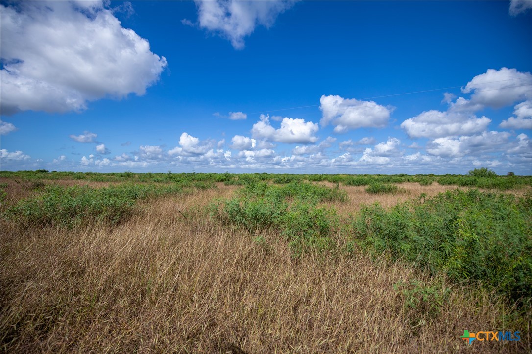 Rancho Refugio | 161± Acres | Refugio County
