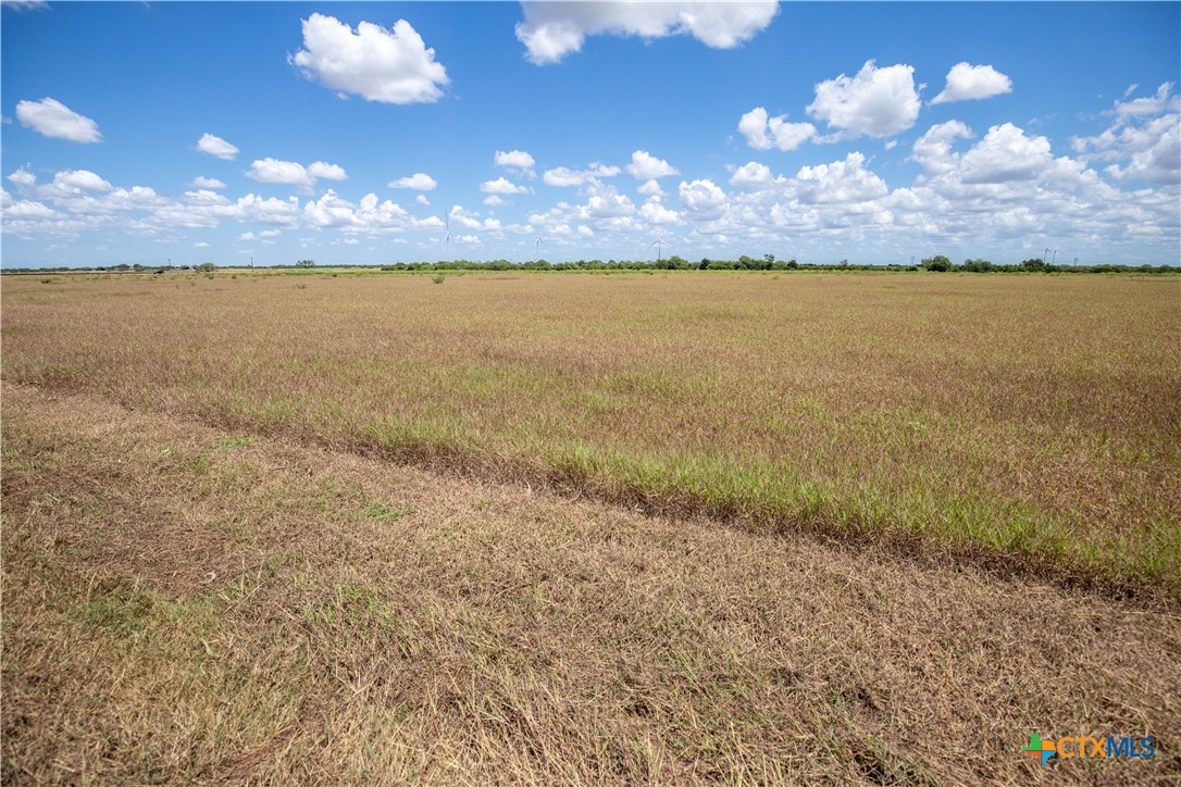 San Patricio County | 39.94 Acre Hay Field