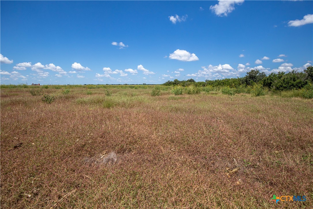 San Patricio County | 39.94 Acre Hay Field