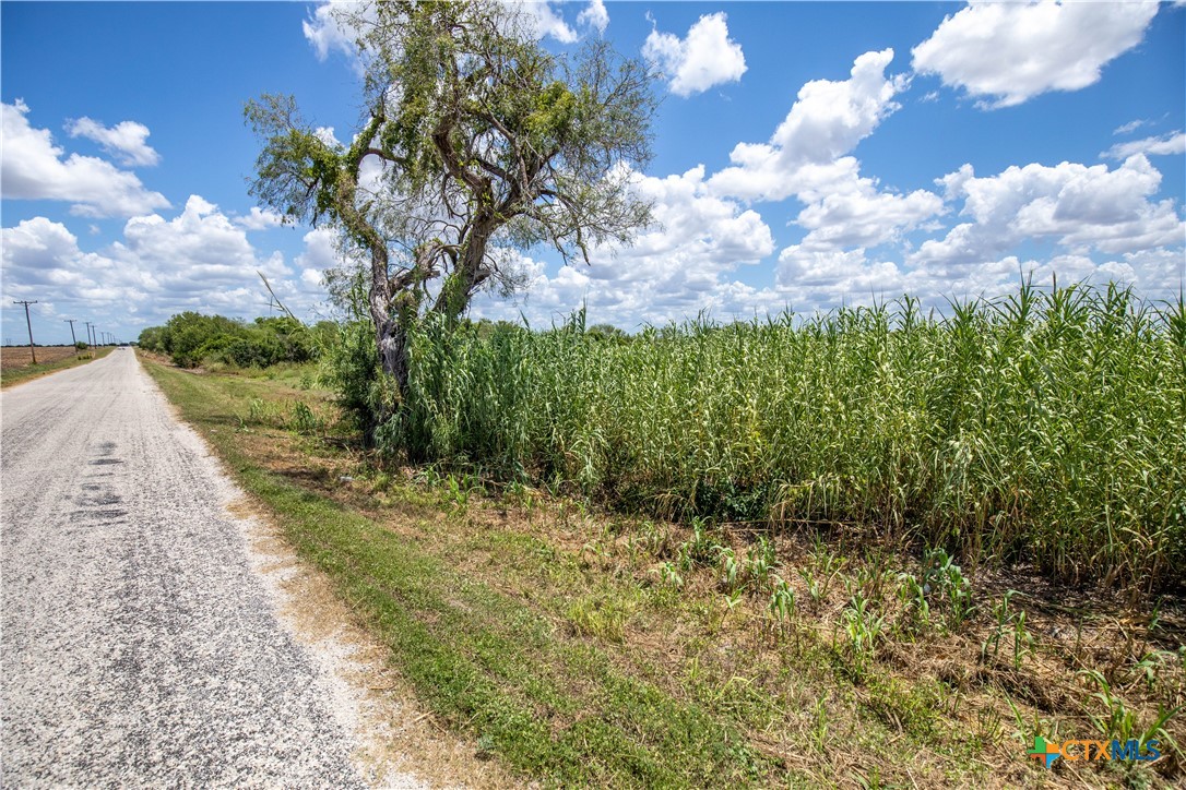San Patricio County | 39.94 Acre Hay Field