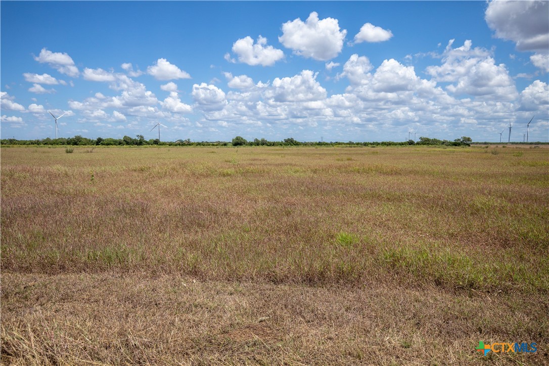 San Patricio County | 39.94 Acre Hay Field