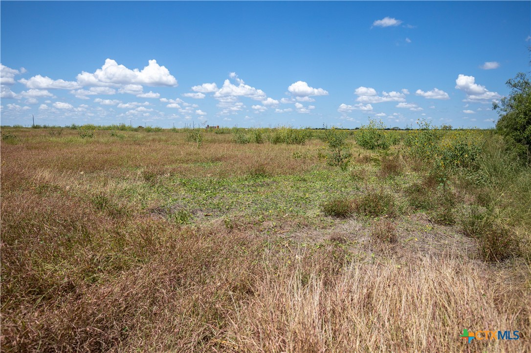 San Patricio County | 39.94 Acre Hay Field