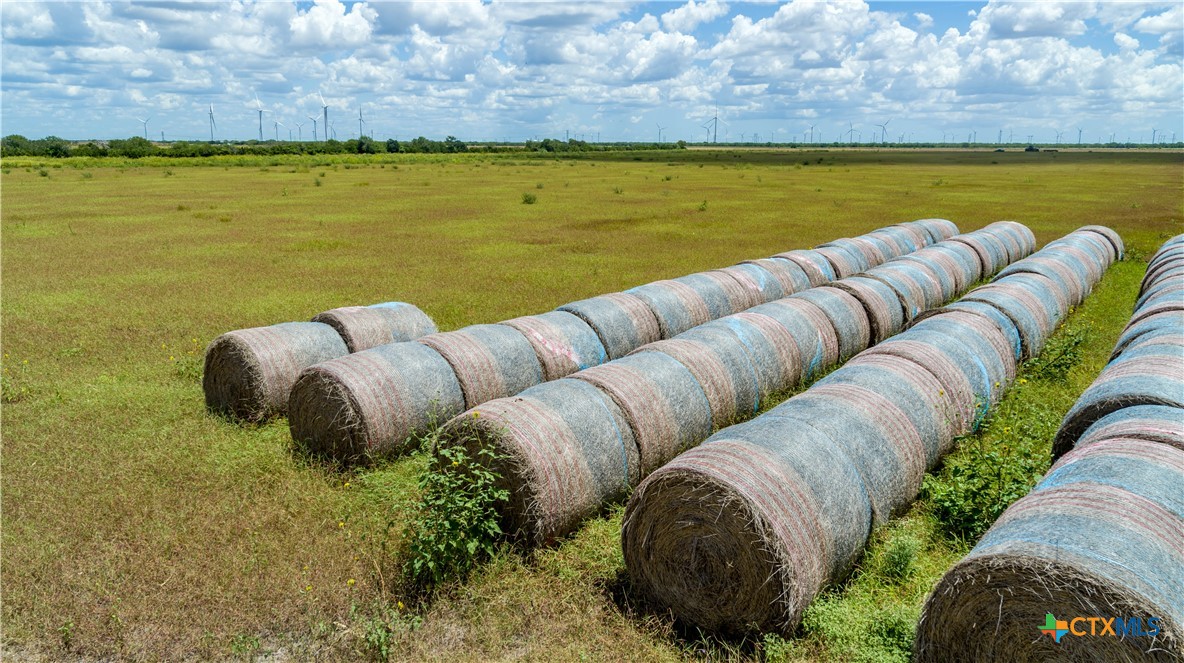 San Patricio County | 39.94 Acre Hay Field