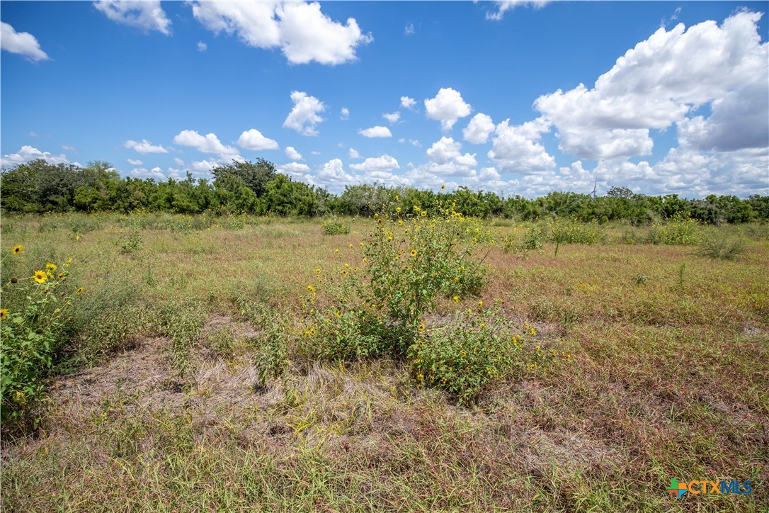 San Patricio County | 39.94 Acre Hay Field