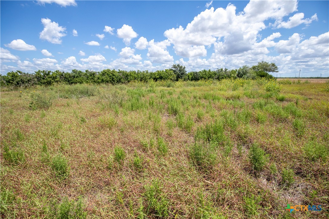 San Patricio County | 39.94 Acre Hay Field