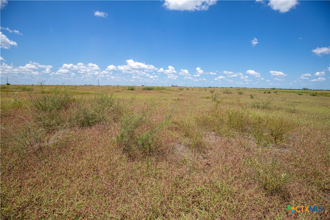 San Patricio County | 39.94 Acre Hay Field