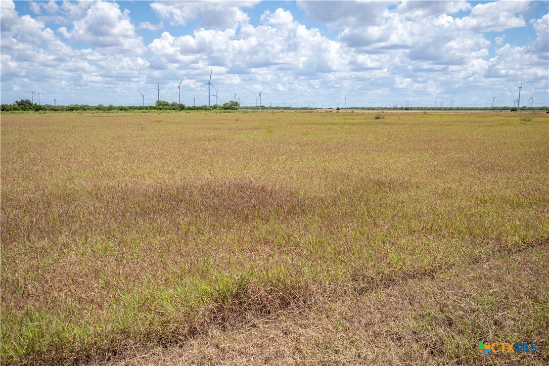 San Patricio County | 39.94 Acre Hay Field