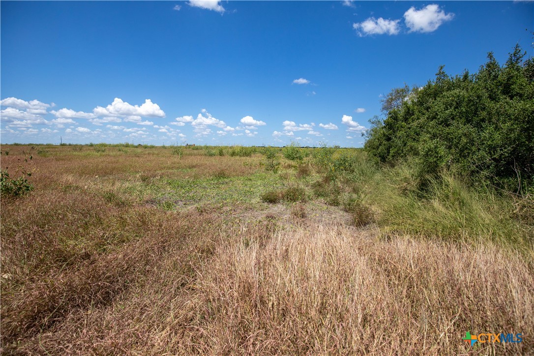 San Patricio County | 39.94 Acre Hay Field