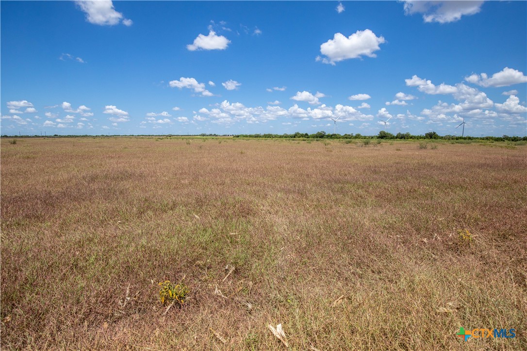 San Patricio County | 39.94 Acre Hay Field