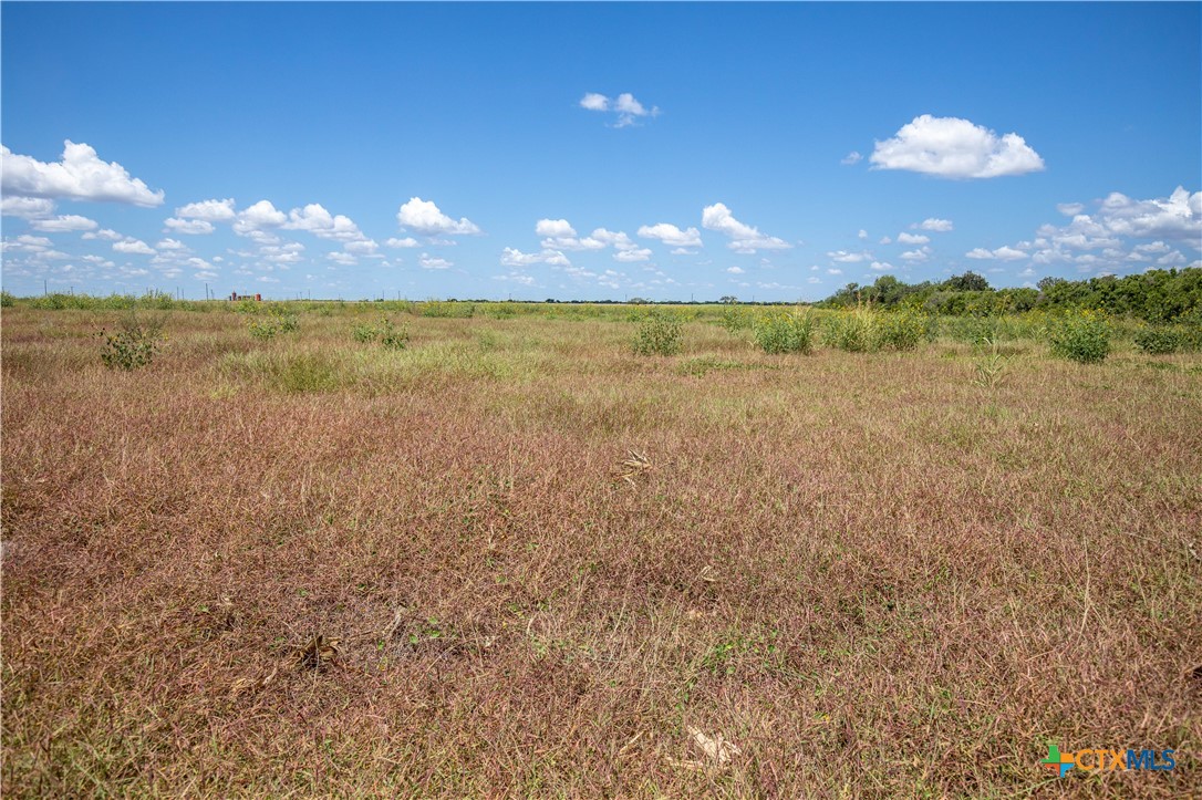 San Patricio County | 39.94 Acre Hay Field