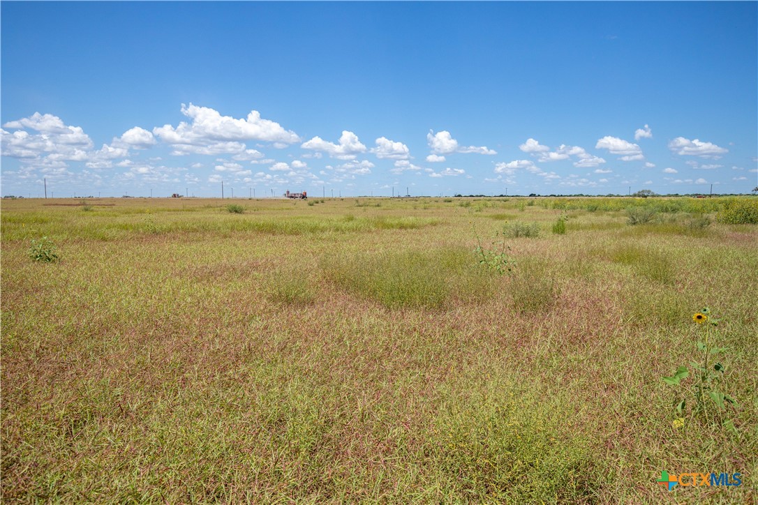 San Patricio County | 39.94 Acre Hay Field